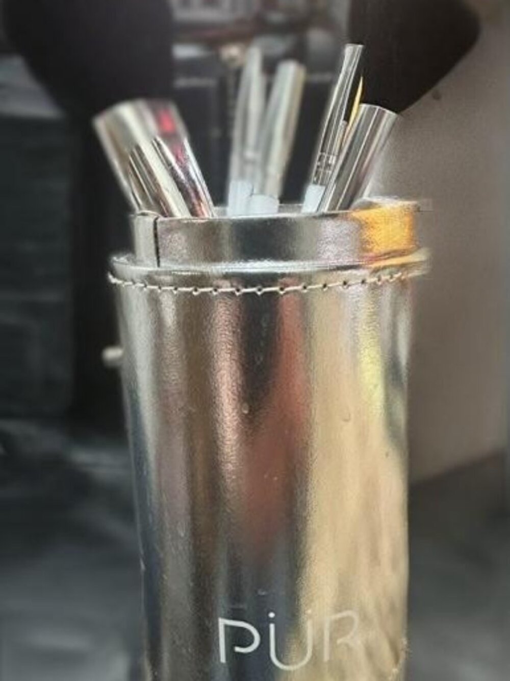 Five PUR Makeup Brushes and Container